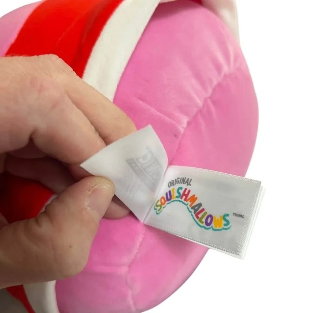 Squishmallows Sonic The Hedgehog Amy Rose Valentine's Day 8